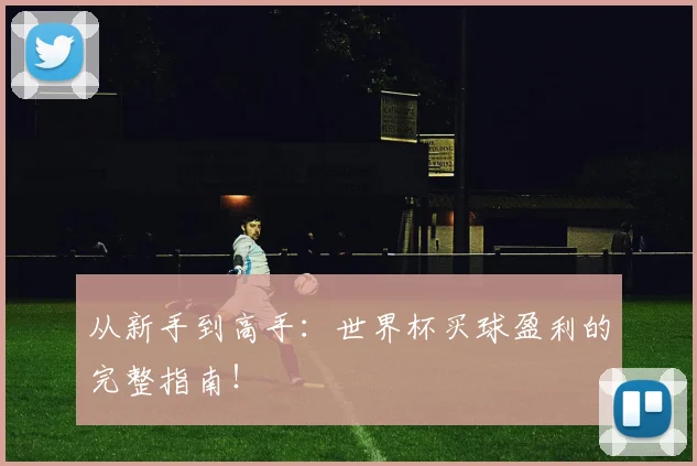 从新手到高手：世界杯买球盈利的完整指南！
