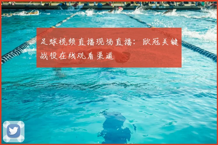足球视频直播现场直播：欧冠关键战役在线观看渠道