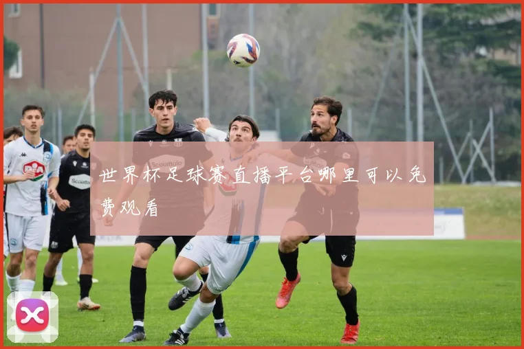 世界杯足球赛直播平台哪里可以免费观看