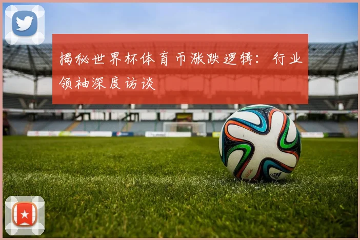 揭秘世界杯体育币涨跌逻辑：行业领袖深度访谈