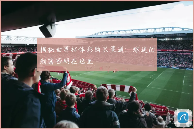 揭秘世界杯体彩购买渠道：球迷的财富密码在这里